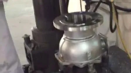 Factory Suppliers Stainless Steel Screwed Thread Flange