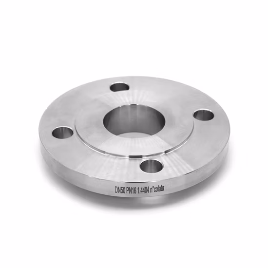 Forged Steel Wn A694 F52 F60 F65 F70 Flanges