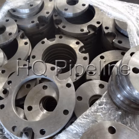 ANSI B16.5/DIN/En1092/GOST/BS Forged/Forging Fitting Carbon/Stainless Steel Pn10/16 Welding/Weld Neck/Threaded/Blind/Slip on/Flat Plate/Socket RF/FF Pipe Flange
